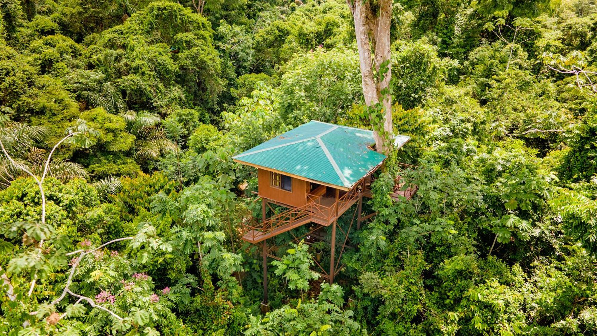 Maquenque Ecolodge Boca Tapada Exterior foto